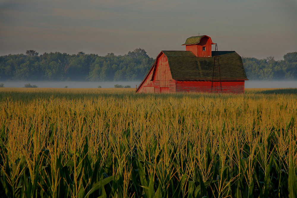 farm and crop insurance in Centralia STATE | Insurance Store